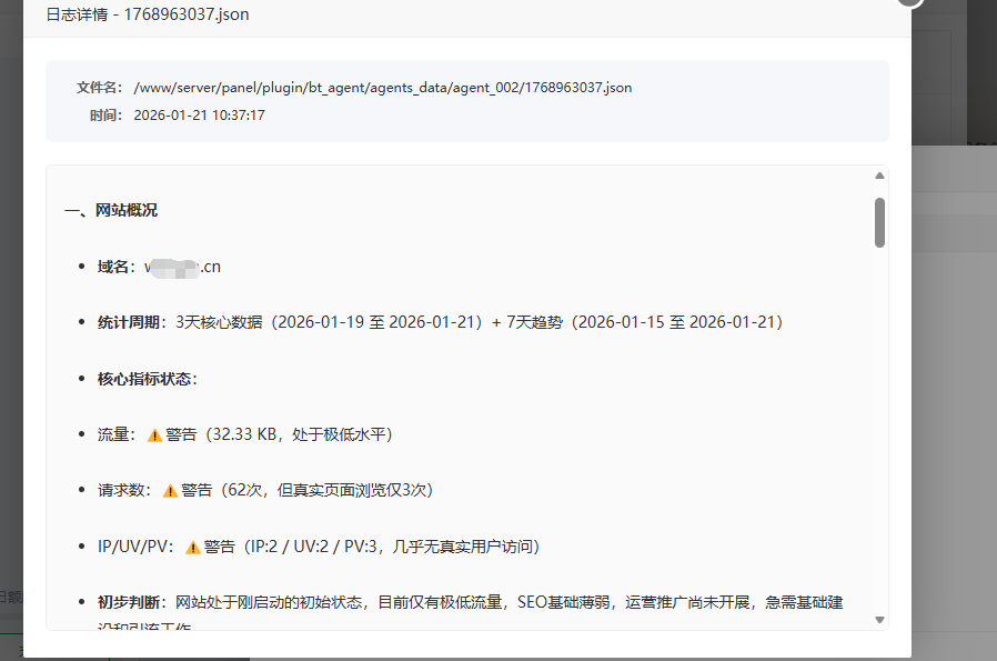 网站访问分析报告