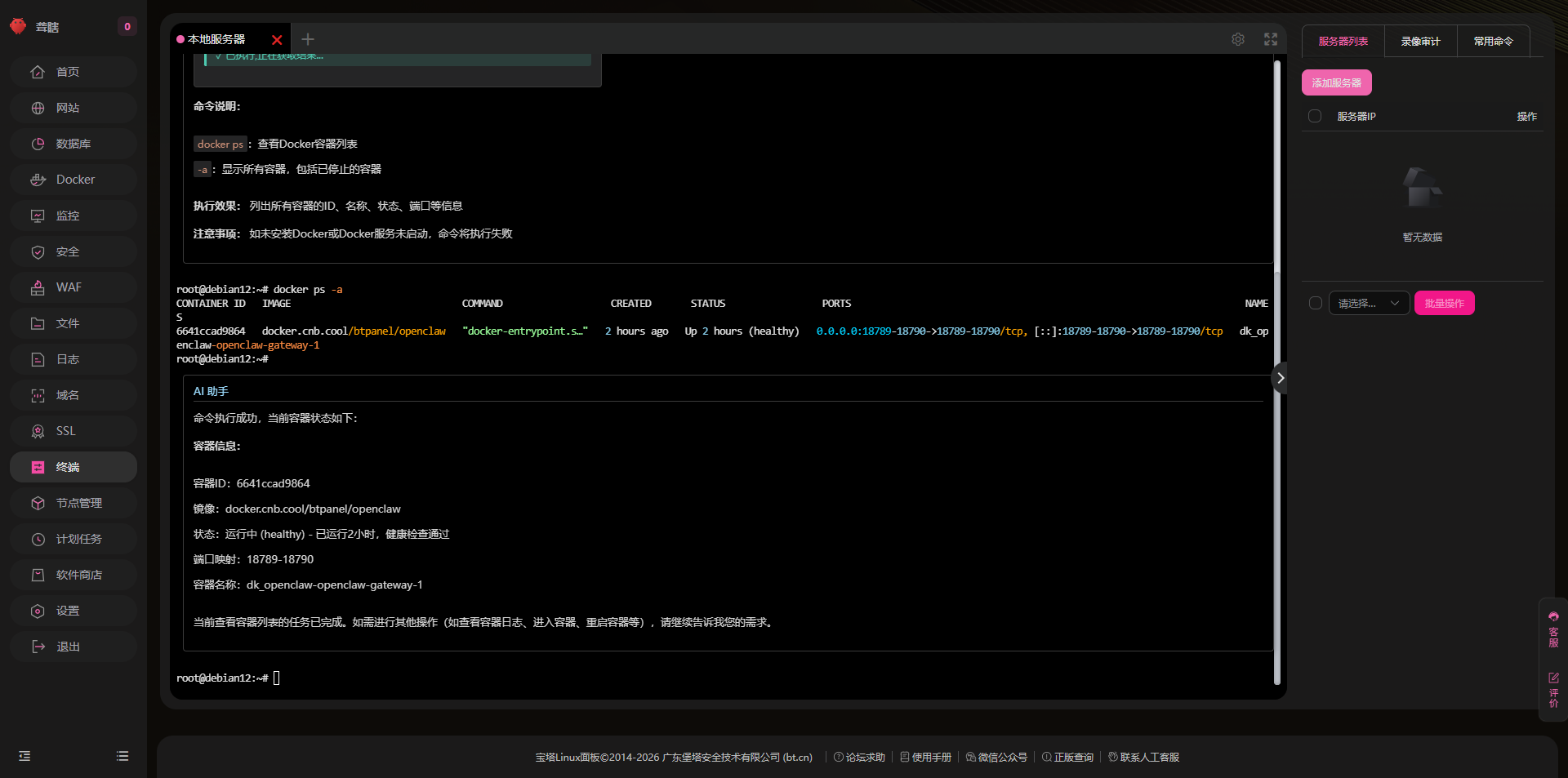 AI 执行结果分析