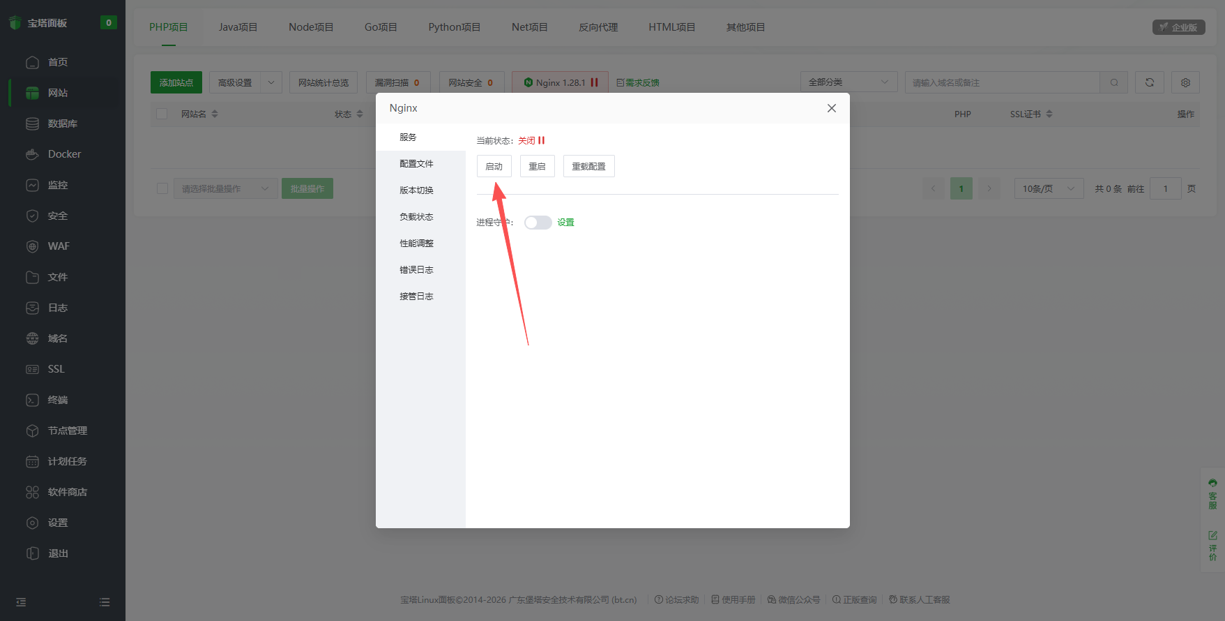 手动启动 Nginx 服务