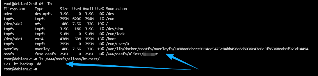 执行 df -Th 检查挂载状态