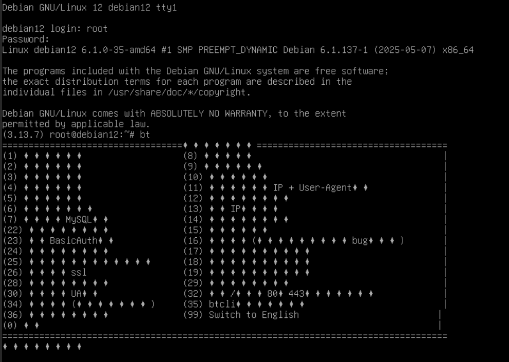 VNC 登录时中文命令行工具箱乱码示例