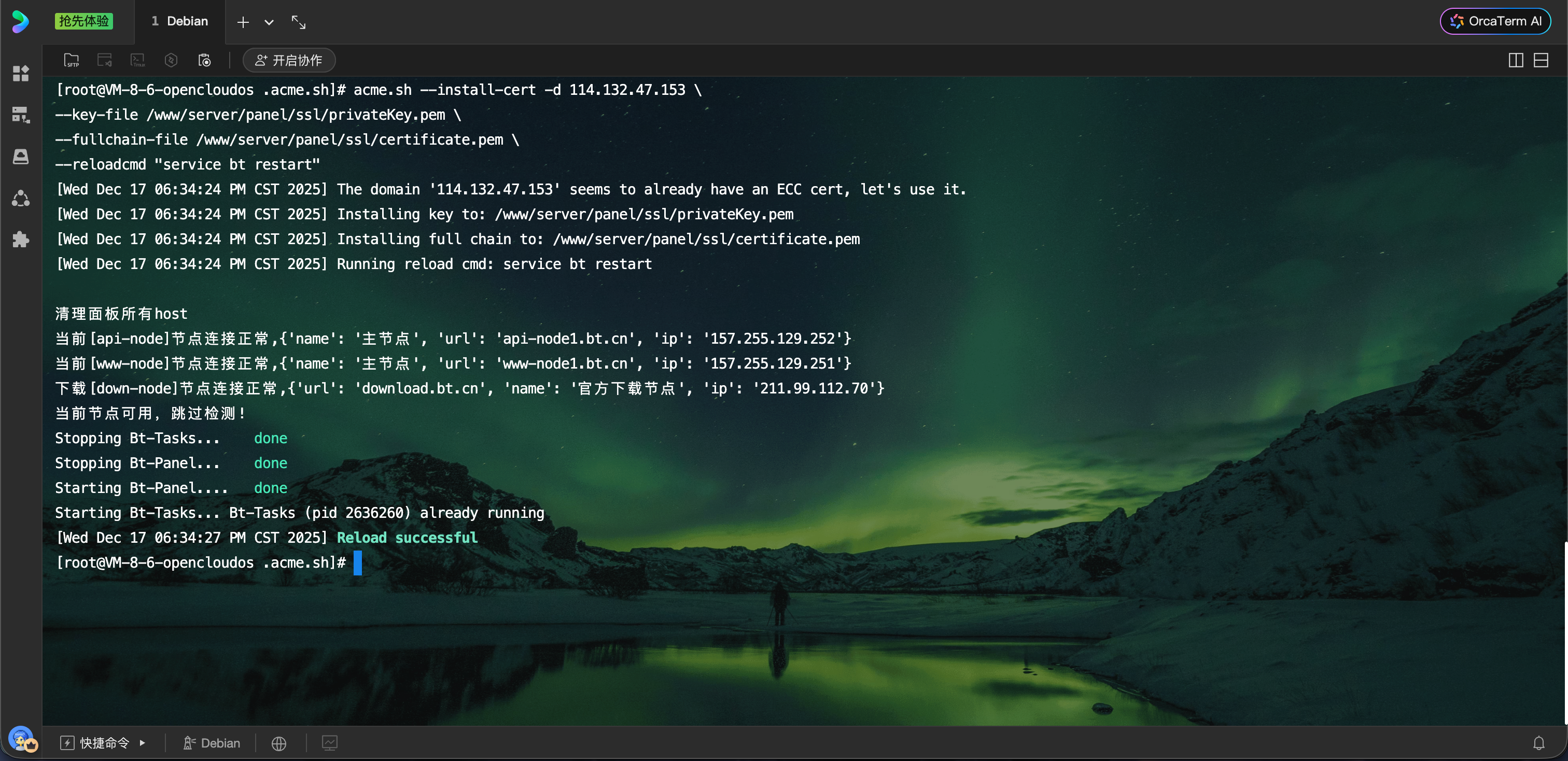 部署 IP 证书到面板