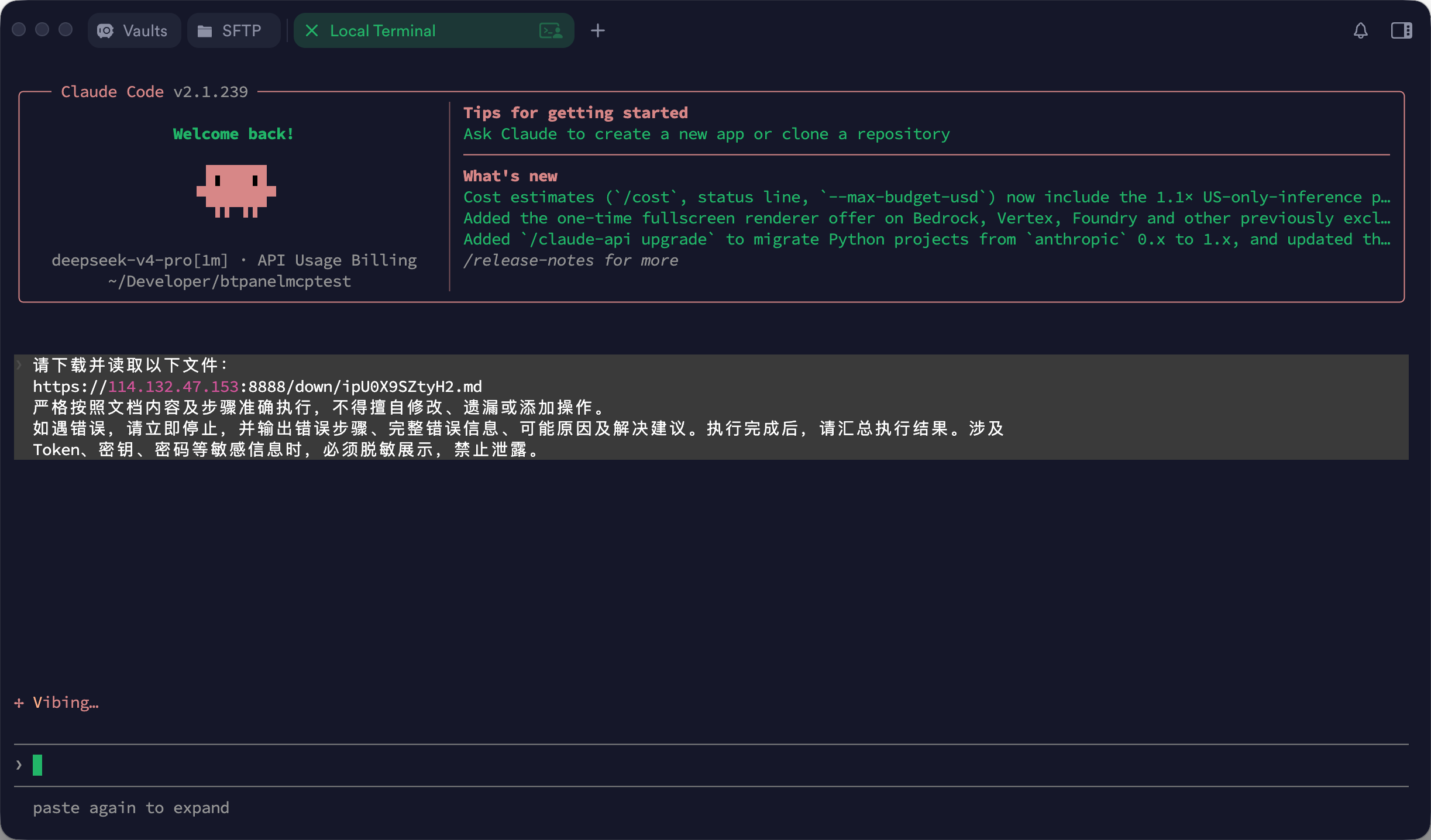 将宝塔 MCP 安装提示词发送给 Claude Code