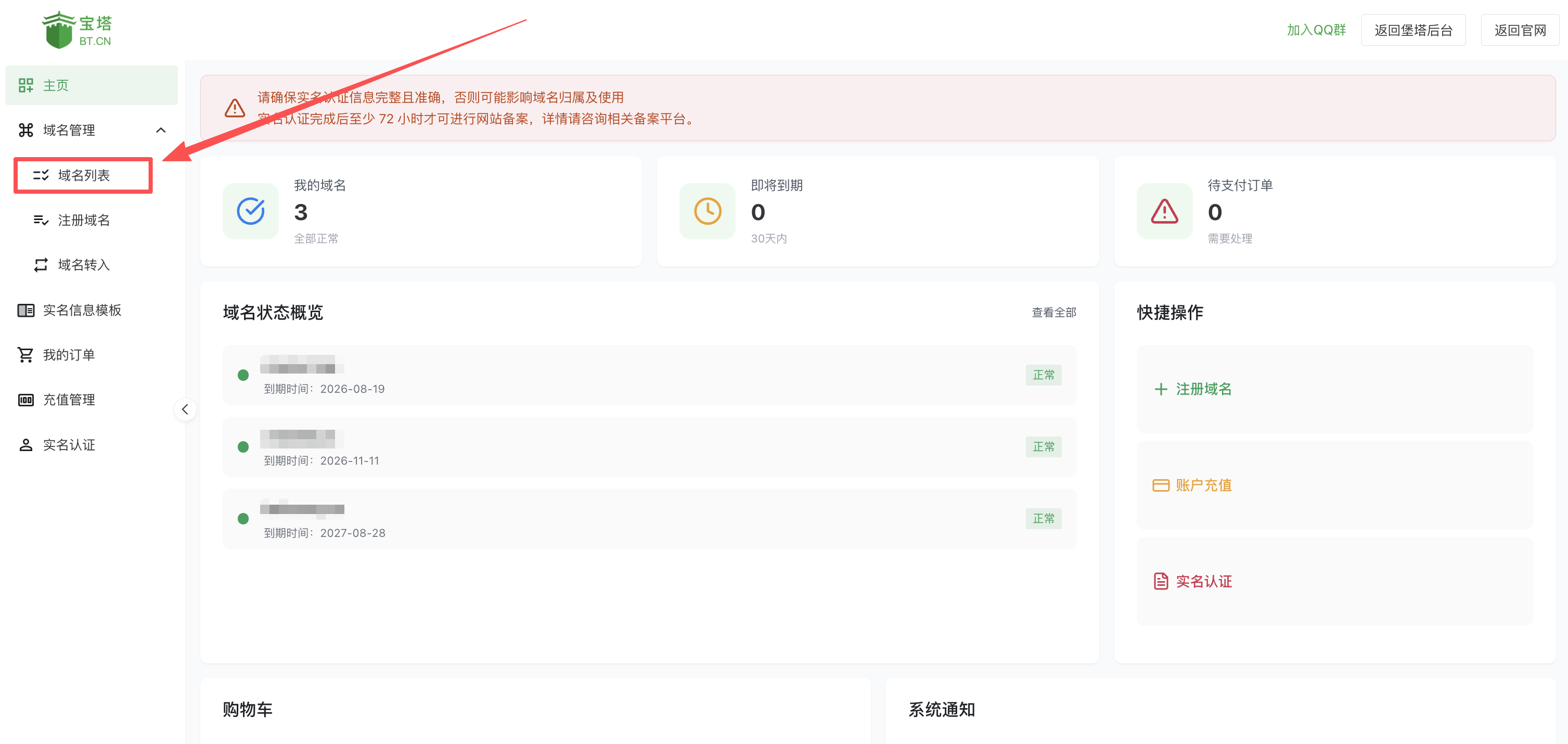 进入域名列表页面