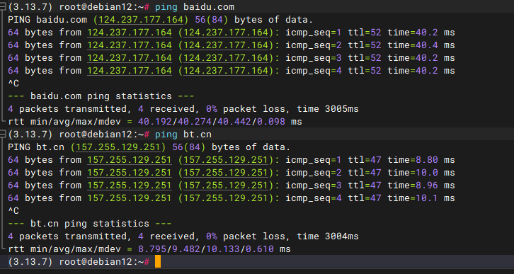 ping 正常返回示例