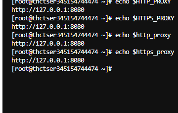 存在代理配置时的输出