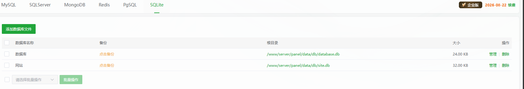 SQLite 文件中的数据被删除