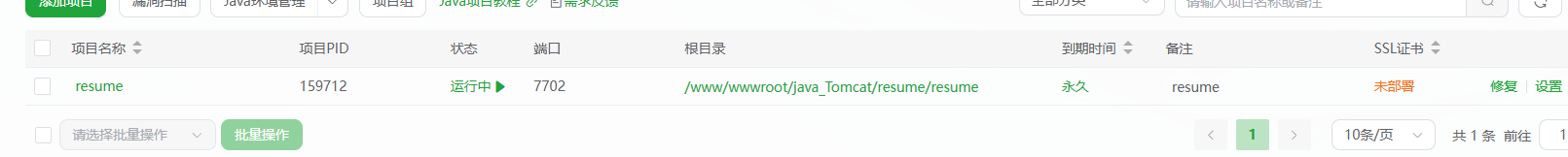 配置项目